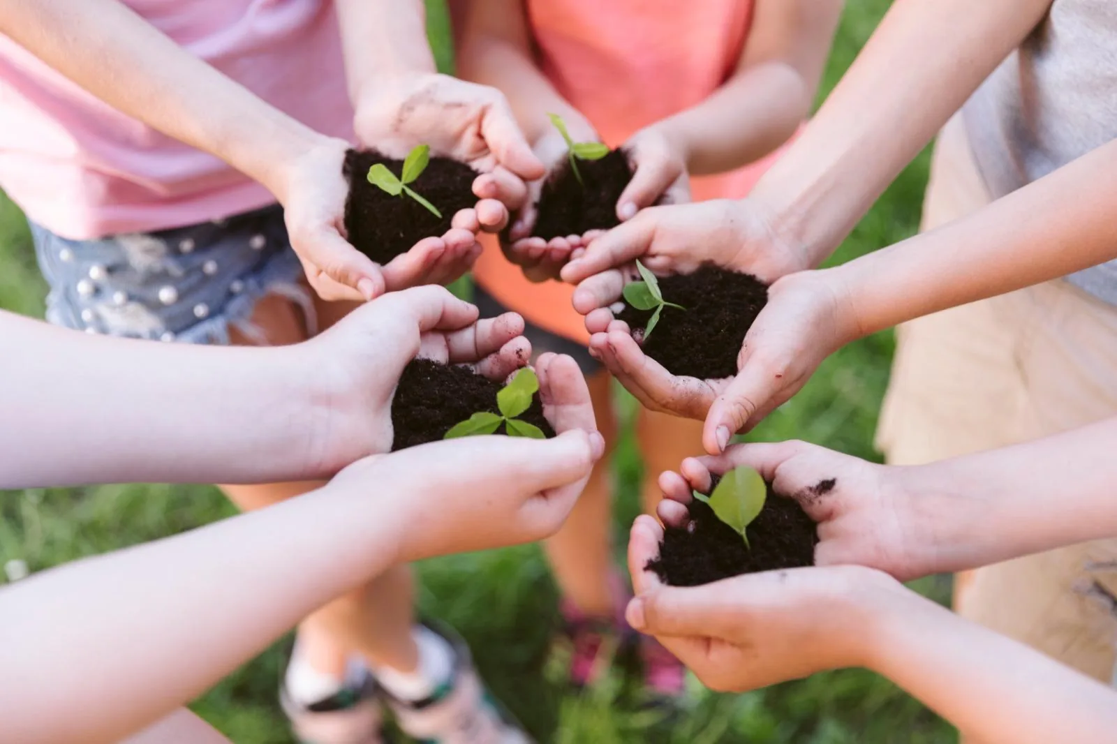 Children holding soil clumps with young plant seedlings together outdoors, symbolizing reuse and giving items a longer life